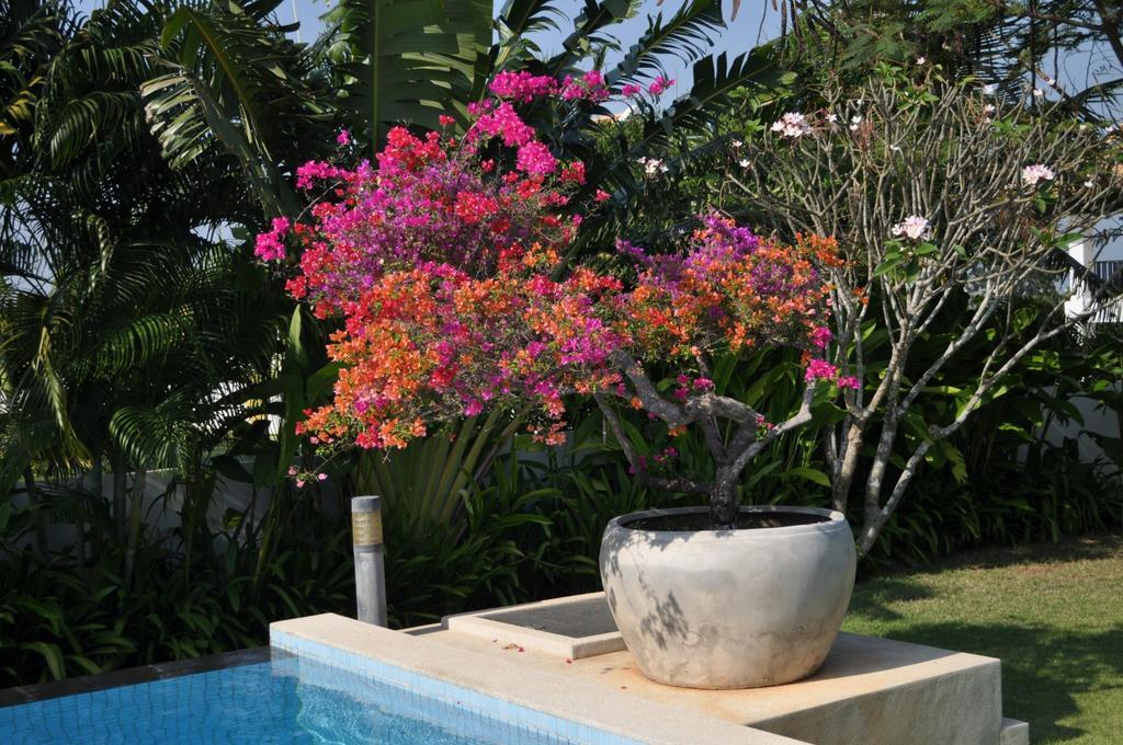 Balinese Villa With Private Pool Hua Hin Luaran gambar